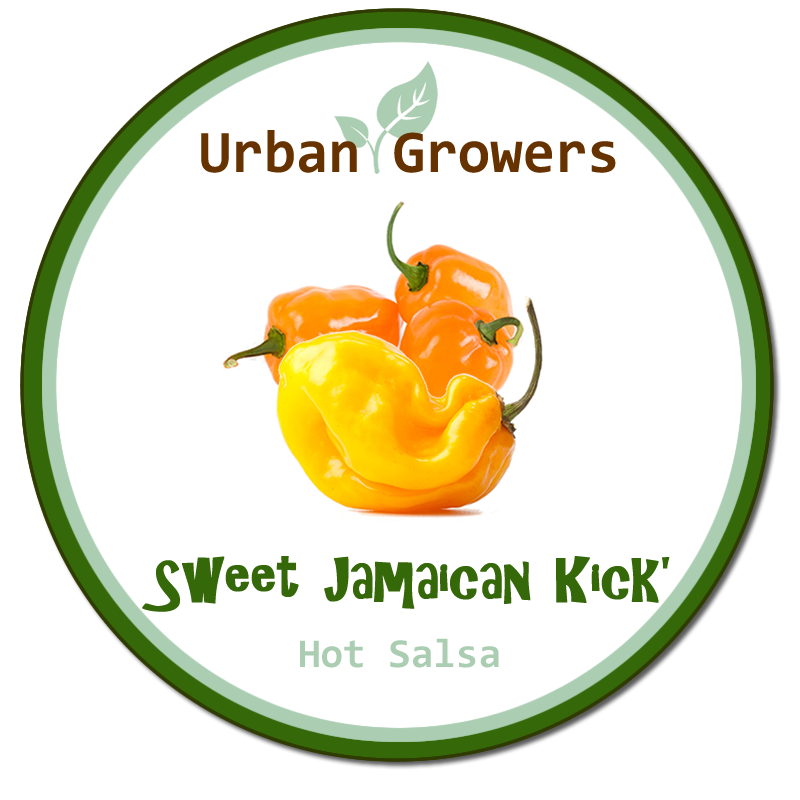 Sweet Jamaican Kick, Hot Salsa, theurbangrowers.com