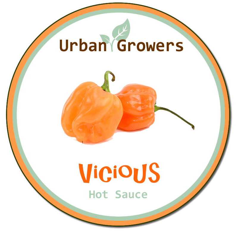 Vicious Hot Sauce, theurbangrowers.com