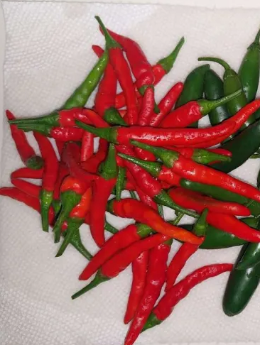 Thai Hot Pepper Seeds